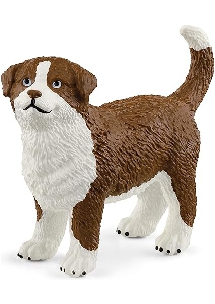 Köpek Evi fırsatları