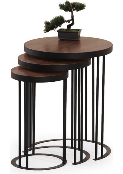 Suave 3'lü Ceviz Zigon Sehpa