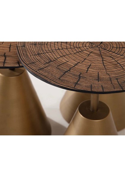 Rita 3'lü Gold Zigon Sehpa Ceviz fırsatları