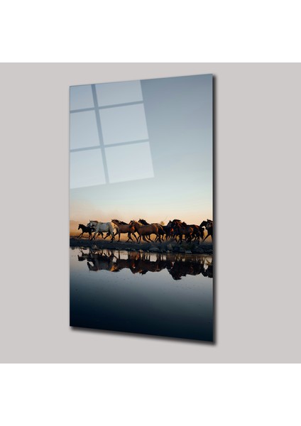Doğadaki Yaban At Sürüsü - Cam Tablo - DEG0086