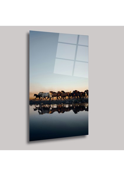 Doğadaki Yaban At Sürüsü - Cam Tablo - DEG0086 fiyatları