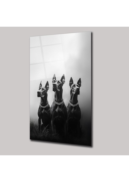 Koruyucular - Cam Tablo - DEG0077