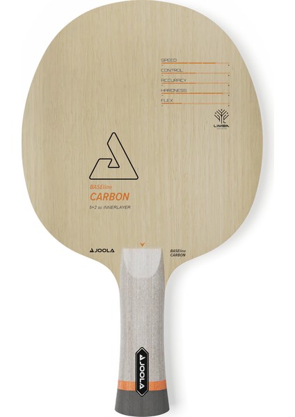 Profesyonel Masa Tenisi Raketi - Ittf Onaylı fiyatları