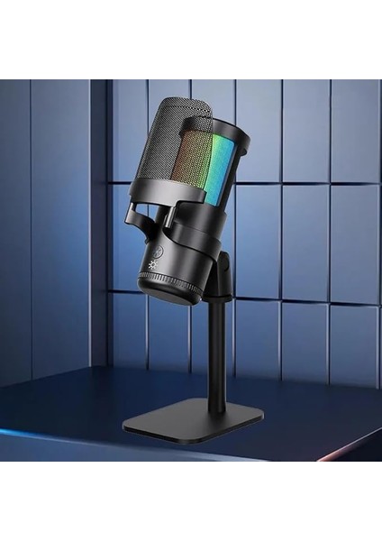 Profesyonel Stüdyo Mikrofon, Dinamik Aralık 88DB, Hassasiyet -43DB±1DB, Kayıt Condenser Masaüstü Canlı Yayın Mikrofonu Pc USB C, Oyun, Podcast, Kayıt, Yayın, Asmr Sessiz/eko PW13