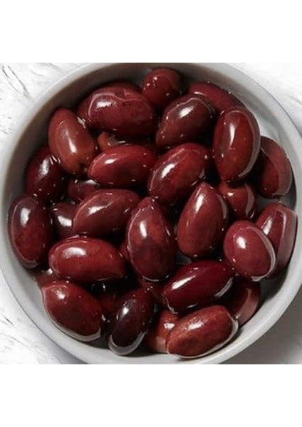 Tüplü Çok Iri Meyveli Kalamata Zeytin Fidanı fiyatları