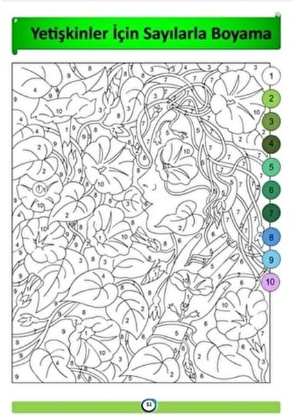 Yetişkinler Için Sayılarla Boyama Kitabı (Ciltli) modelleri