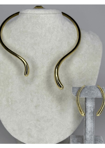 Kemik Şekilli Gold Renkli Set fiyatları