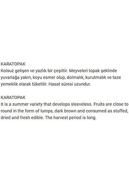 Tarım Ata Tohumu Yerli Kabak Karatopak 20 Adet Tohum fiyatları