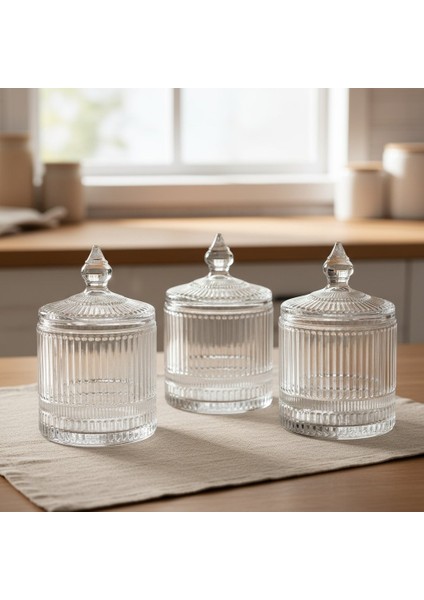 3'lü Line Çizgi Desen Kapaklı Cam Baharatlık Kavanoz Takımı 3 x 325 Ml. fiyatları