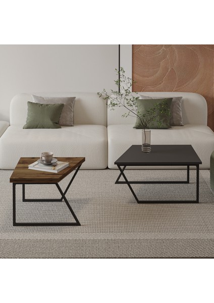 Verona Ikili Orta Sehpa – Modern Tasarım Metal Ayaklı Sehpa Seti modelleri