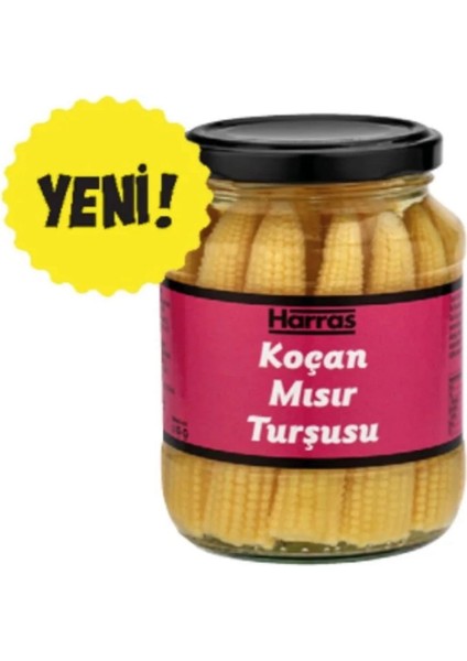 Koçan Mısır Turşusu (X4 Adet) fiyatları