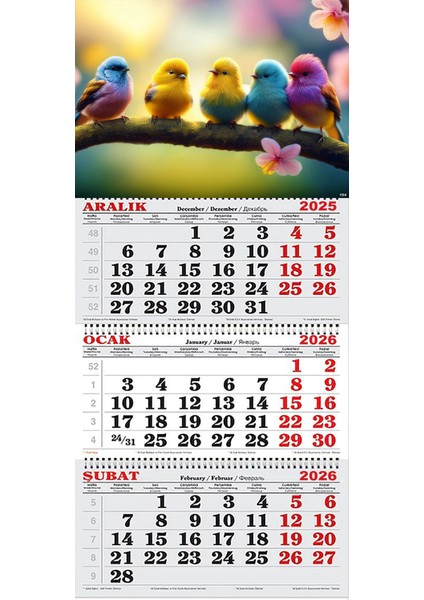 2026 Yılı Gemici Takvimi- Rengarenk Kuşlar