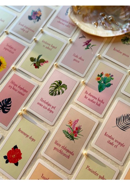 Tukan Mesaj Kartları - Oracle Destesi fiyatları