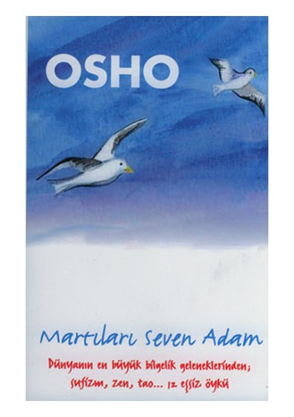 Martıları Seven Adam