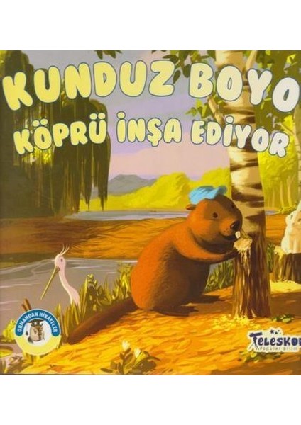 Kunduz Boyo Köprü Inşa Ediyor - Ormandan Hikayeler