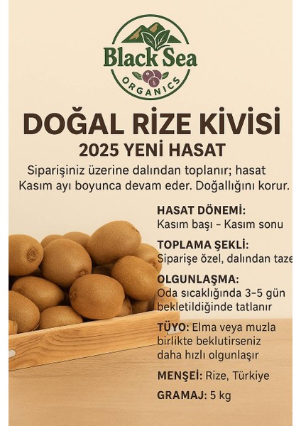 Taze Rize Kivisi 5 kg – 2025 Yeni Hasat modelleri
