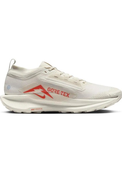 Pegasus Trail 5 Gore-Tex Erkek Koşu AYAKKABISIFQ0908-100