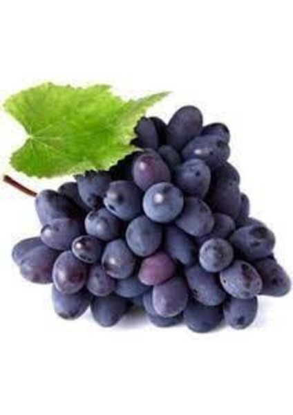 20 Adet Tohum Siyah Üzüm Black Magic Asma Ağacı Tohumu Sürpriz Hediye Bonsai Ağacı Tohumu