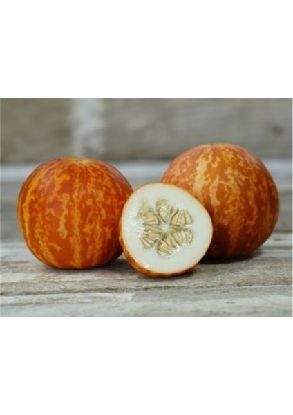 5 Adet Tohum Mis Kokulu Nevşehir Mini Parfüm Kavunu Tohumu Organik Hasat Taze Tohum fiyatları