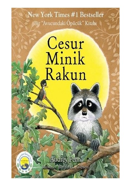 Cesur Minik Rakun