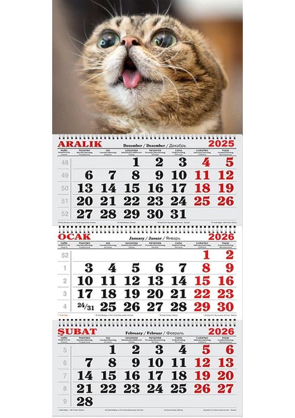 2026 Yılı Gemici Takvimi-Kedi