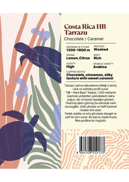 Costa Rica Hb Tarrazu Yöresel Filtre Kahve 250 Gr. fiyatları