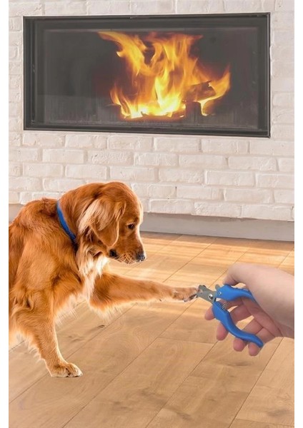 Evcil Hayvan Kedi ve Köpek Paslanmaz Çelik Yaylı Tırnak Makası ve Düzeltme