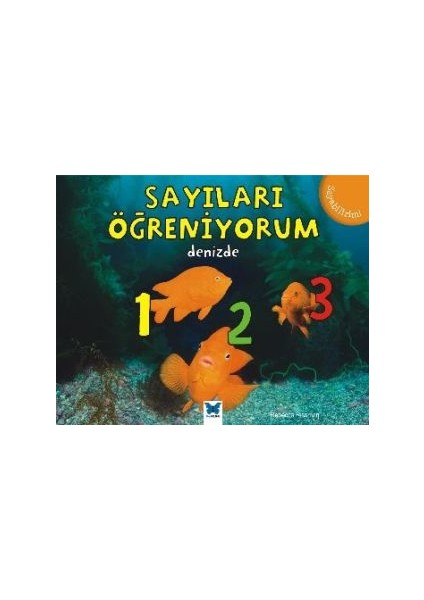 Sayıları Öğreniyorum - Denizde