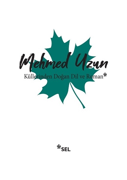 Küllerinden Doğan Dil ve Roman