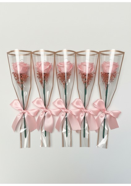 5 Adet Tekli Pembe Solmayan Gül, Hediyelik fiyatları