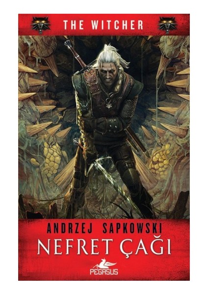 Nefret Çağı - The Witcher Serisi 4