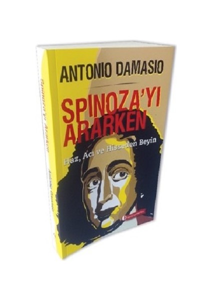 Spinoza’yı Ararken