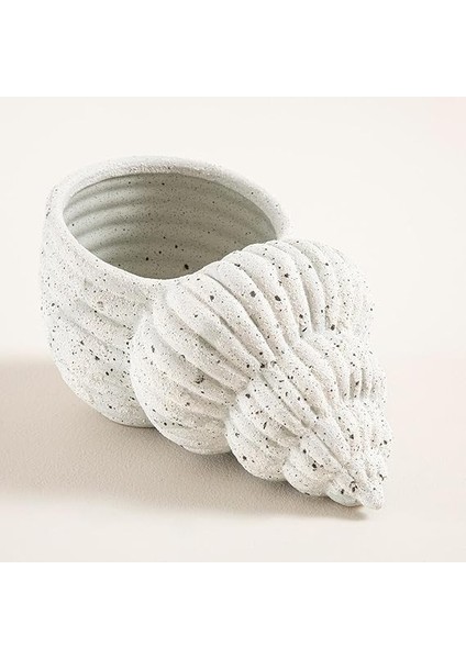 Vato Dekoratif Kase modelleri