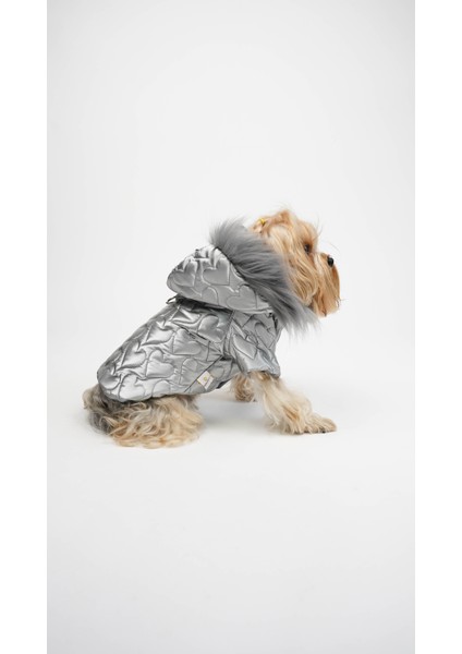 Köpek Kedi Heart Luxe Mont fiyatları