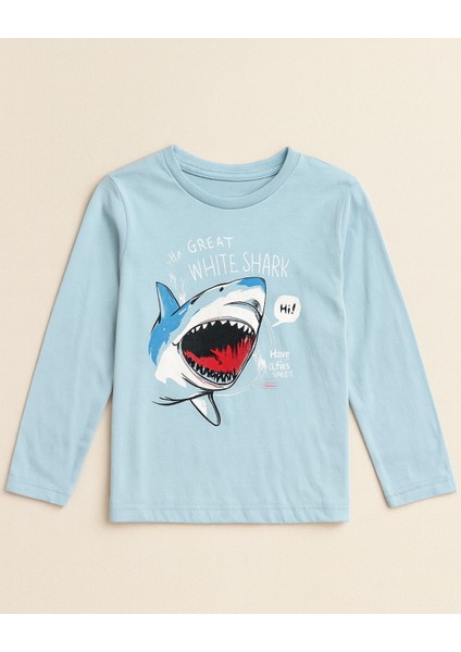 Erkek Çocuk Mevsimlik Pamuklu Sweat fiyatları