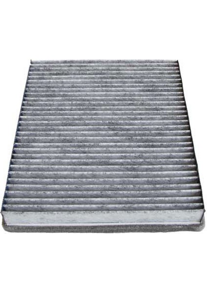 Mtxdpn Polen Filtresi Cruze 09- (Karbonlu)