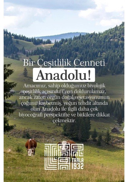 Organik Çorbalık Tahıl Karışımı | Katkısız & Doğal | 400 G modelleri