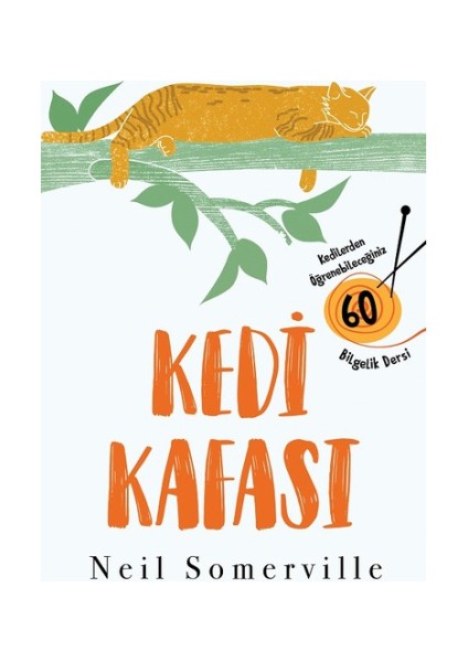 Kedi Kafası