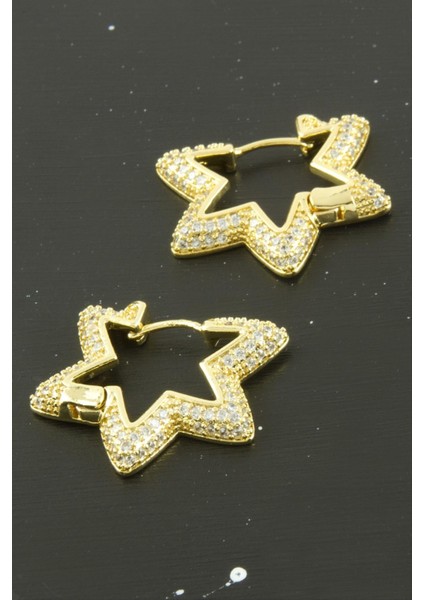 Yıldız Zirkon Taşlı Lüks Küpe