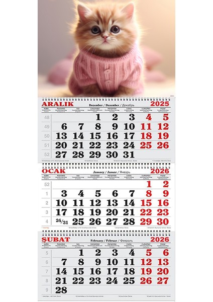 2026 Yılı Gemici Takvimi- Pembe Kazaklı Yavru Kedi