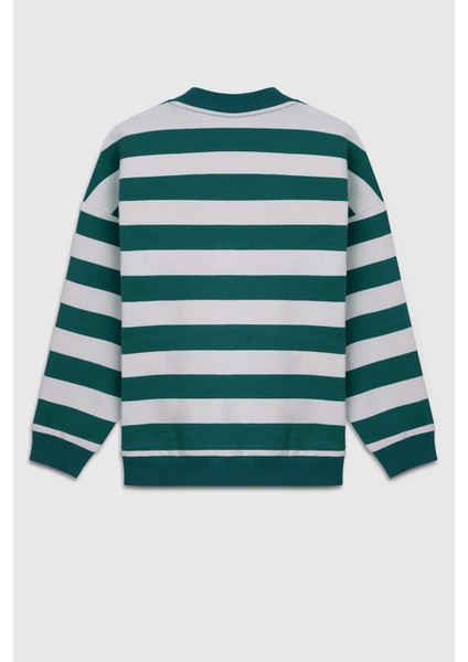 Pamuklu Regular Fit Bisiklet Yaka Çizgili Sweat Erkek Çocuk Sweat BNTB23297 fiyatları