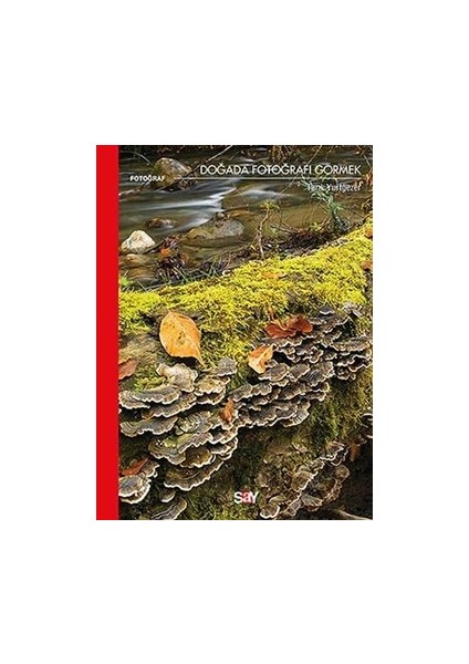 Doğada Fotoğrafı Görmek