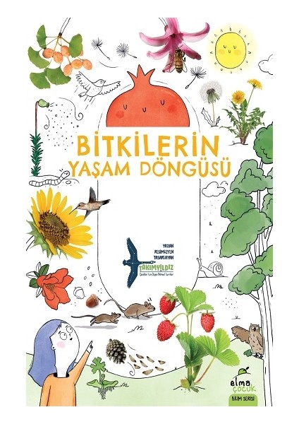 Bitkilerin Yaşam Döngüsü