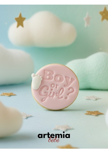 Boy Or Girl? Yazılı Kurabiye Kalıbı | Cinsiyet Partisi & Baby Shower Kalıbı | Bebek Ayak Izli Model fiyatları