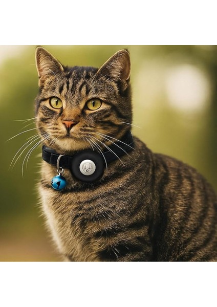 Airtag Kedi Tasması Kılıfı (4'lüpaket) fiyatları