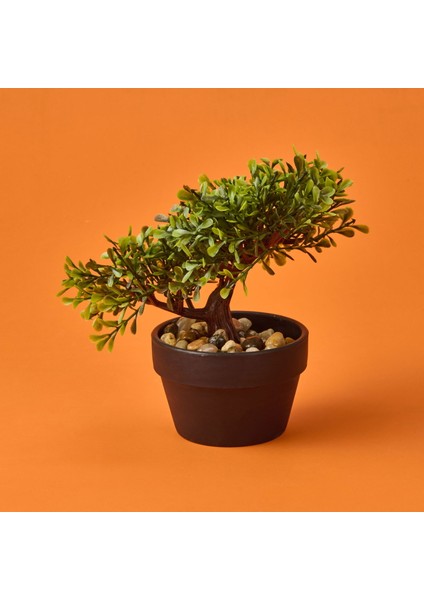 Bonsai Çiçek - Asorti - 19 cm fiyatları