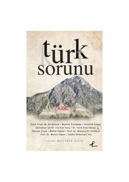 Türk Sorunu