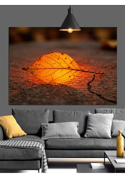 Günbatımında Kuru Yaprak Dekoratif Kanvas - Mdf Ahşap Tablo modelleri