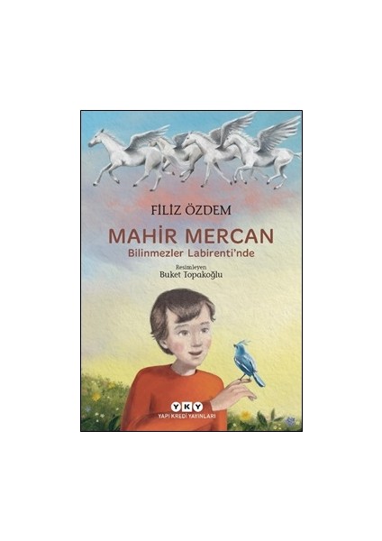 Mahir Mercan - Bilinmezler Labirenti’nde