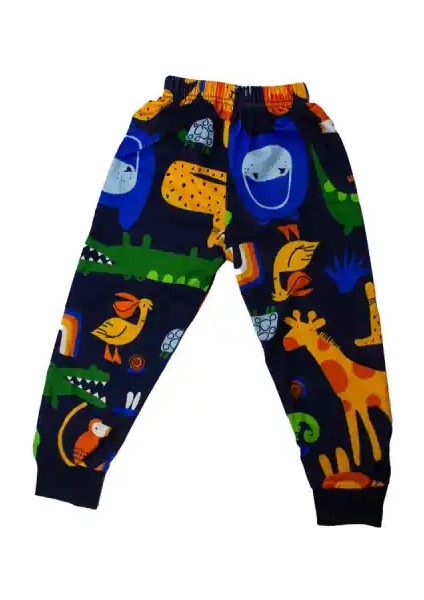 Safari Çocuk Eşofman Tk modelleri